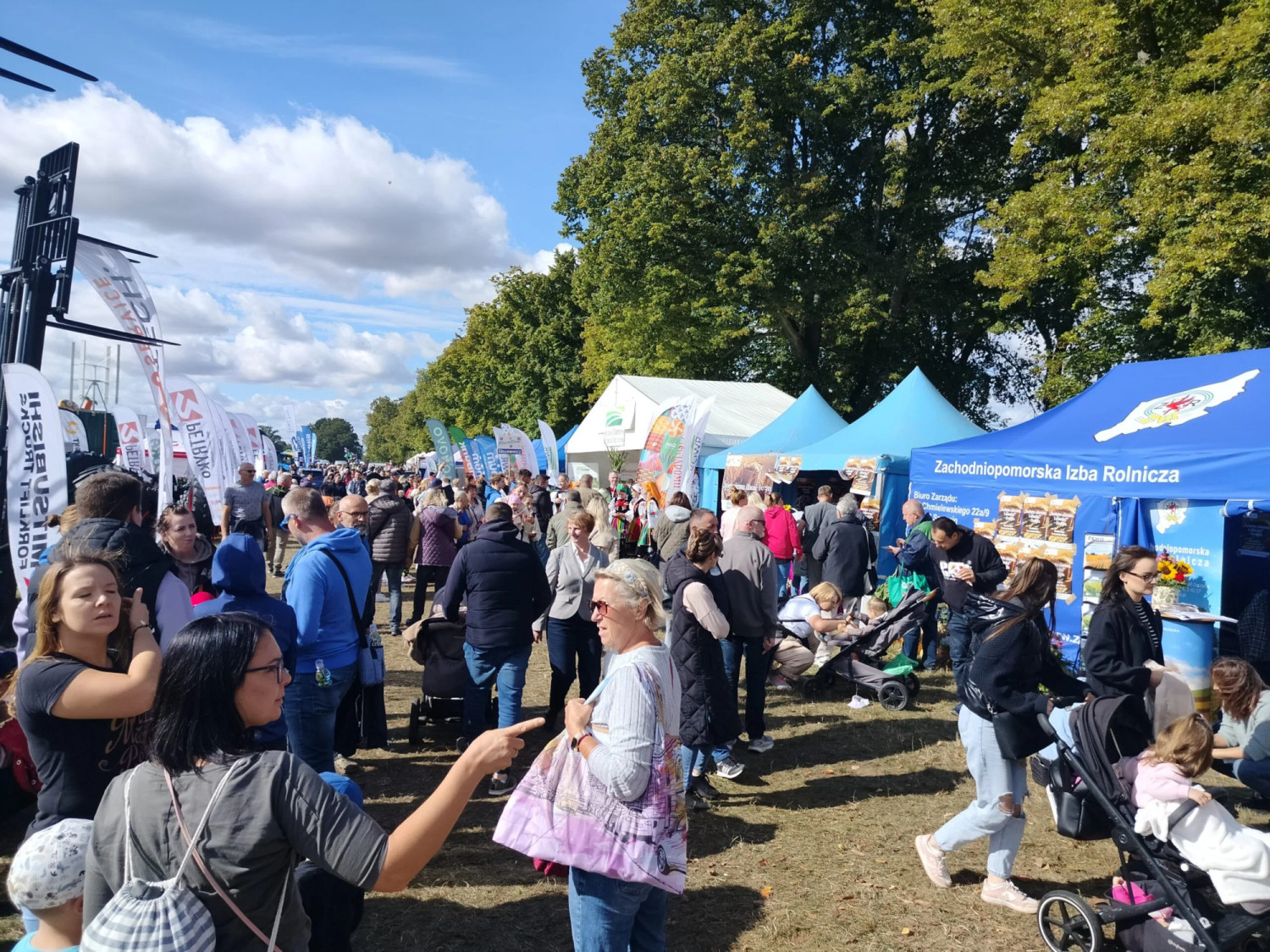 Alpaki, króliki, pokazy sokolnicze oraz mnóstwo innych atrakcji. Zbliża się jedno z największych wydarzeń w regionie