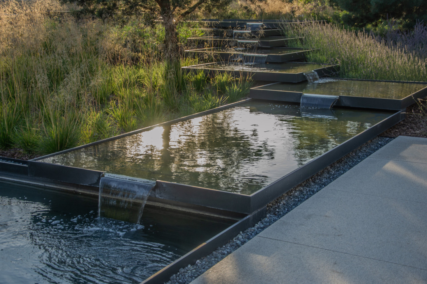 Szczeciński ogród z nagrodą w paryskim konkursie. Kiedyś było tutaj tylko kilka sosen