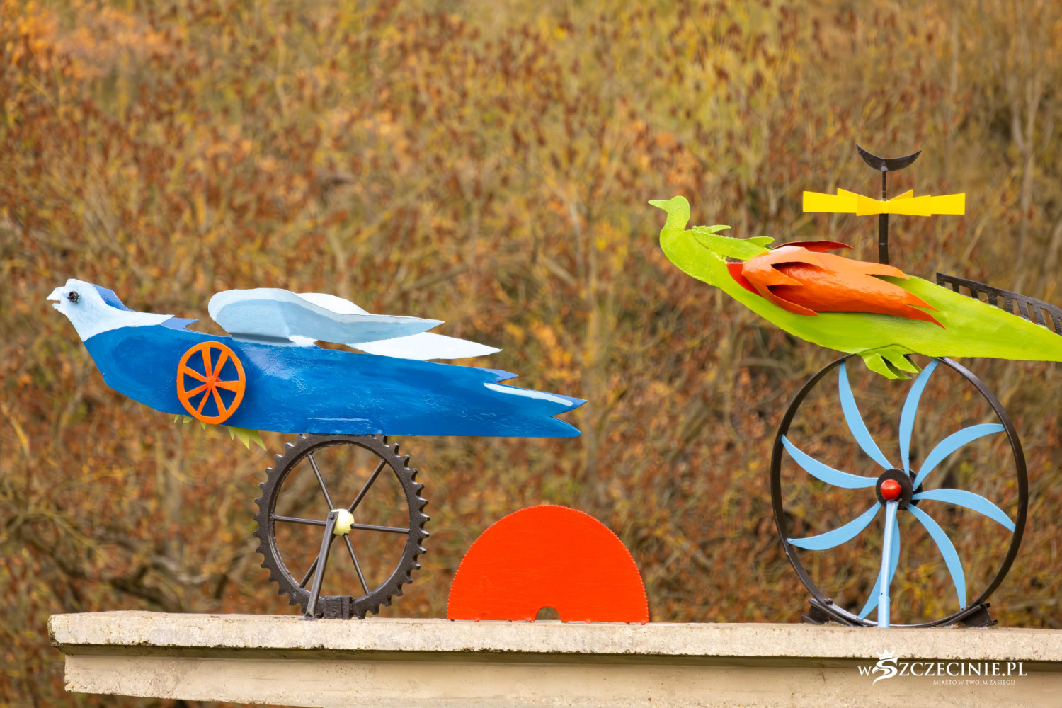 Ptaki Hasiora odzyskały brakujące elementy. „To nie jest rutynowa konserwacja” [foto]