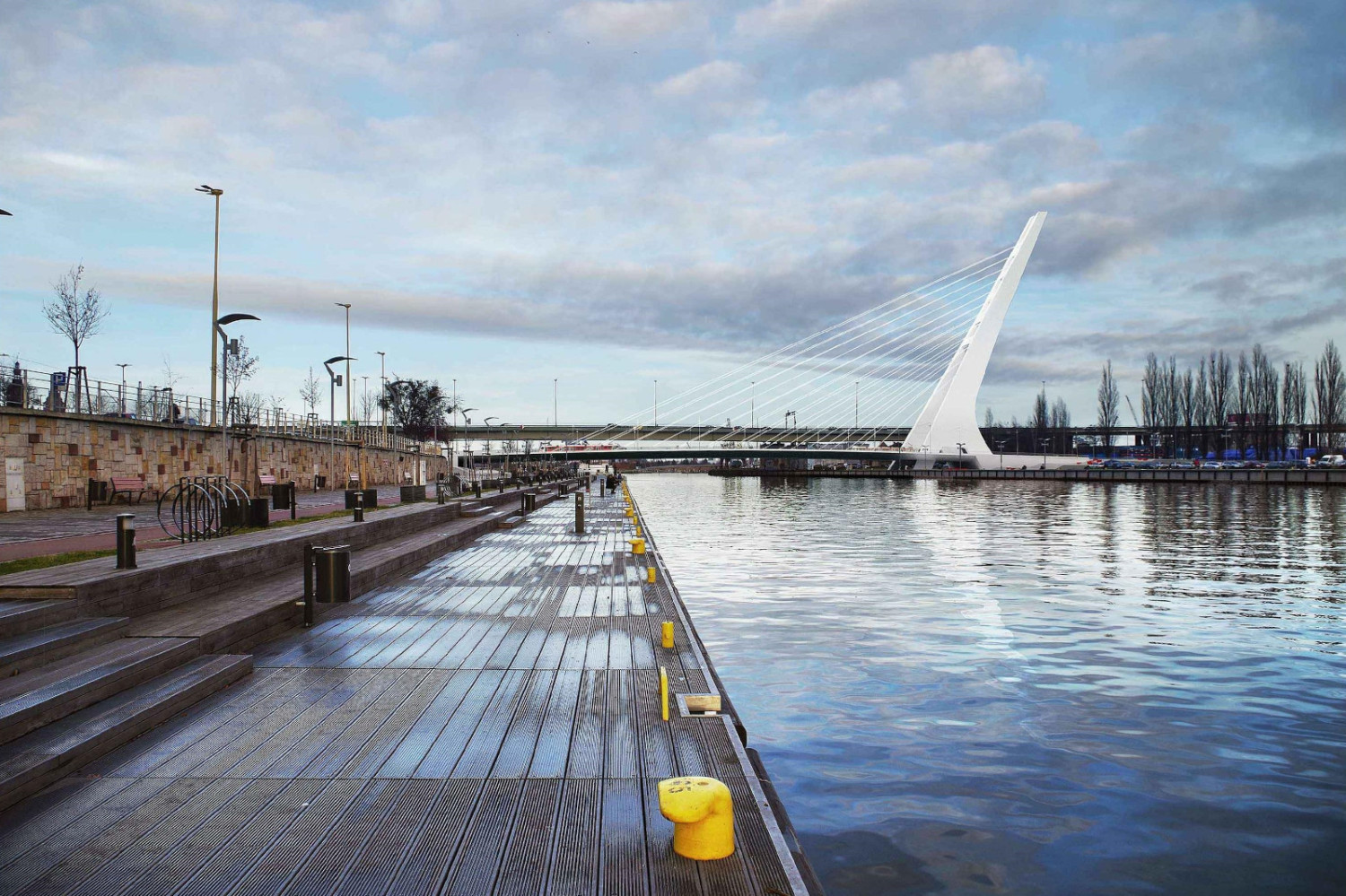 Jaki związek ma planowany Most Kłodny z obronnością? I dlaczego zamiast podpór w Odrze wybrano wielki pylon?