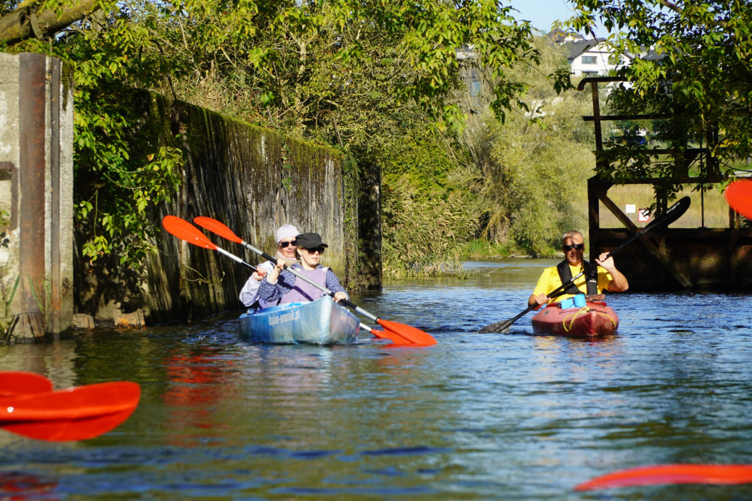 Odkryj piękno Doliny Dolnej Odry z perspektywy kajaka. Rozdajemy vouchery na wycieczki malowniczymi trasami