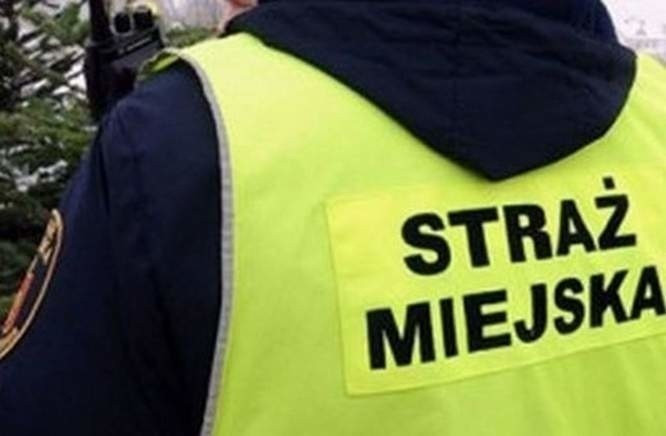 Strażnicy miejscy piszą do prezydenta Krzystka. „W 2025 roku podpisano 10 umów, a 5 osób zaraz odeszła”
