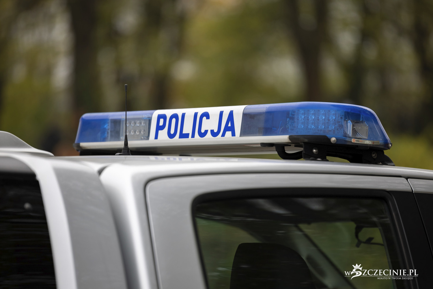 Groza przy torach kolejowych. "Szczątki w stanie zaawansowanego rozkładu"