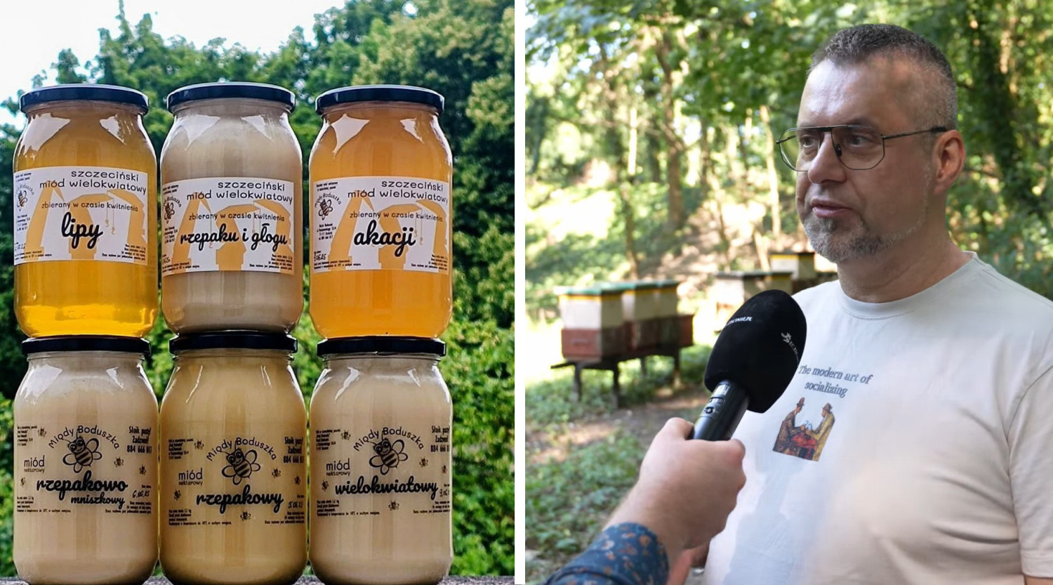 Nagradzane szczecińskie miody powstają w pasiece ulokowanej w uniwersyteckim kampusie. „To niezwykłe miejsce”