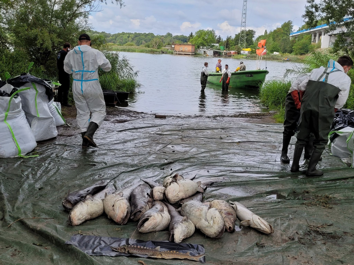 „jest źle Jest Bardzo źle” Wiceminister Jacek Ozdoba Bardzo Ostro O Sytuacji Na Odrze Szczecin 9287