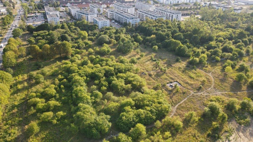 Co dalej z nowym parkiem na Gumieńcach? Jest wstępny termin rozpoczęcia prac