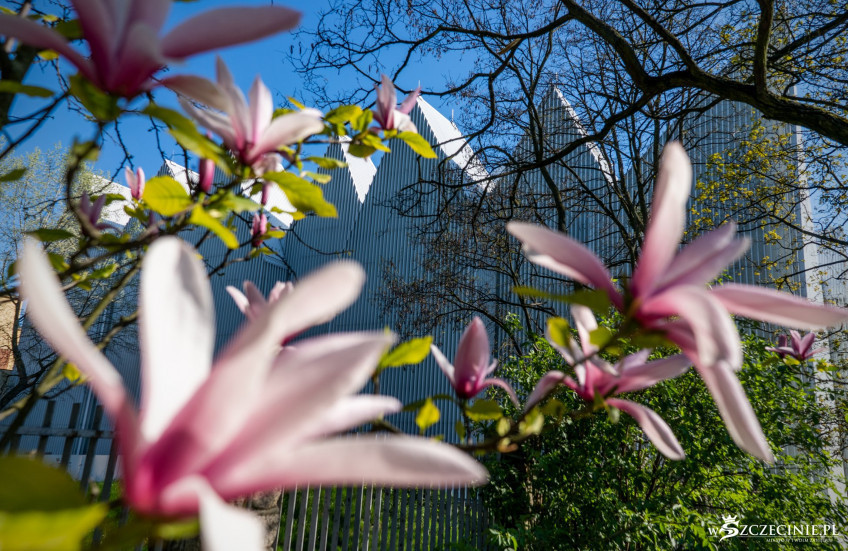 To pierwsze tego typu wydarzenie w Szczecinie. W niebanalnej przestrzeni będą rozmawiać o pracy w kulturze