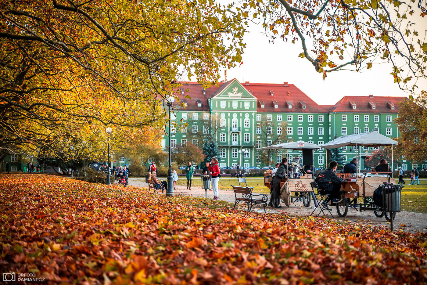 Dzieje się w weekend w Szczecinie. Wysyp atrakcji na 24–26 PAŹDZIERNIKA 2025