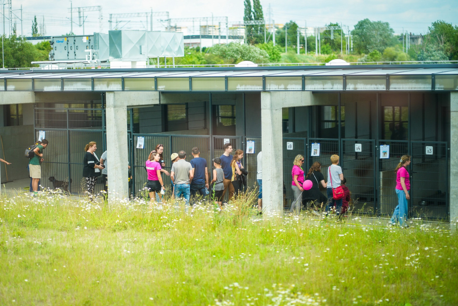 Polsat rezygnuje z reality show, który miał być kręcony w szczecińskim schronisku dla zwierząt