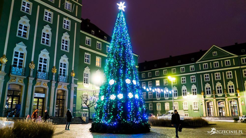 Nowa choinka stanie przed szczecińskim magistratem. „Będzie najbardziej okazałą ozdobą, jaka kiedykolwiek stała w tym miejscu”