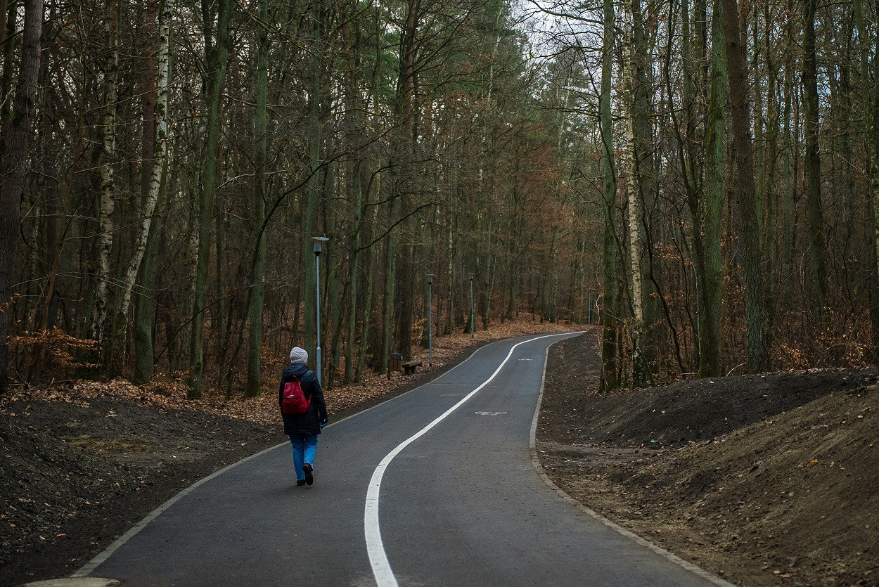 W środku lasu powstała asfaltowa droga dla pieszych i rowerzystów