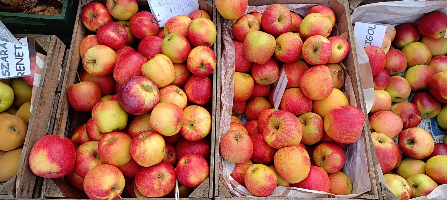 Wystawcy i rolnicy z regionu przyjadą na „Sobotni Bazarek na Bronowickiej”. Wielu z nich może pochwalić się ekologiczną uprawą