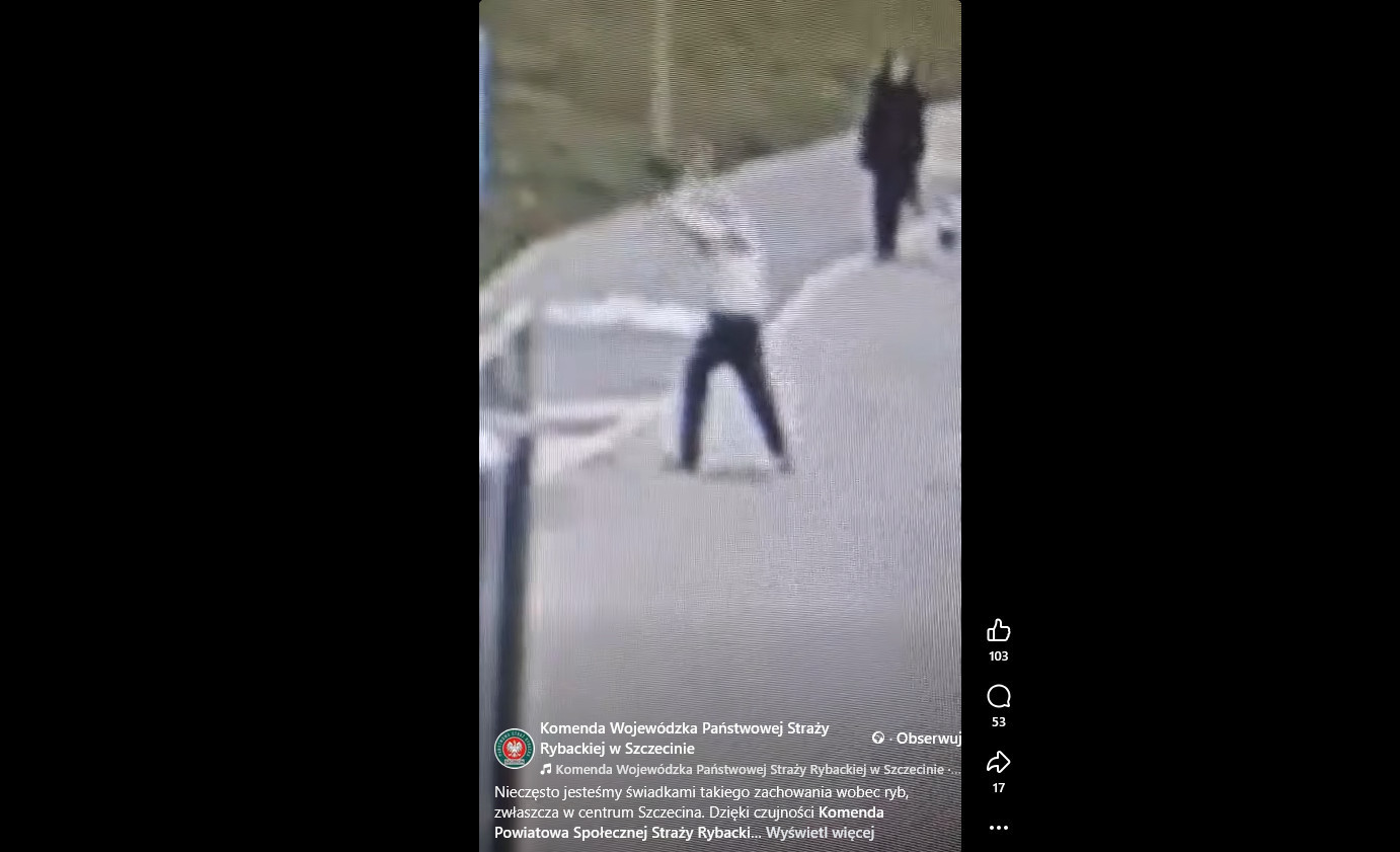 Wędkarz rzucał rybą o beton na szczecińskich bulwarach. TOZ: „Zachowanie godne potępienia”