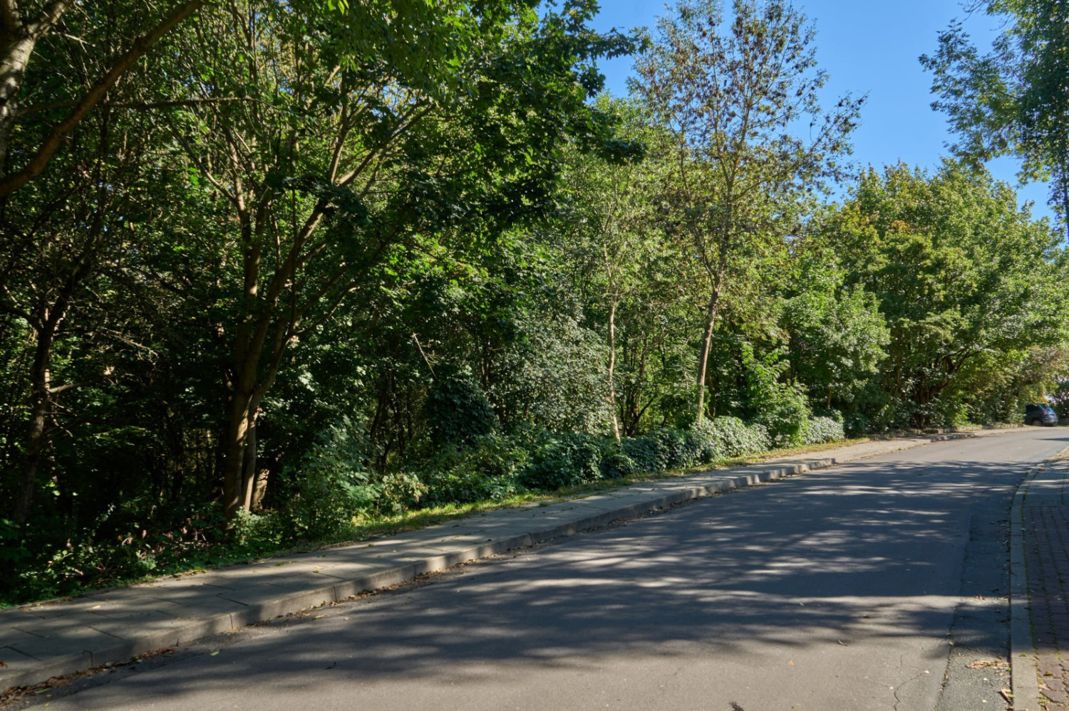 Miasto wstrzyma się z decyzją o sprzedaży zielonej działki. Kiedyś myślano w tym miejscu o kortach tenisowych