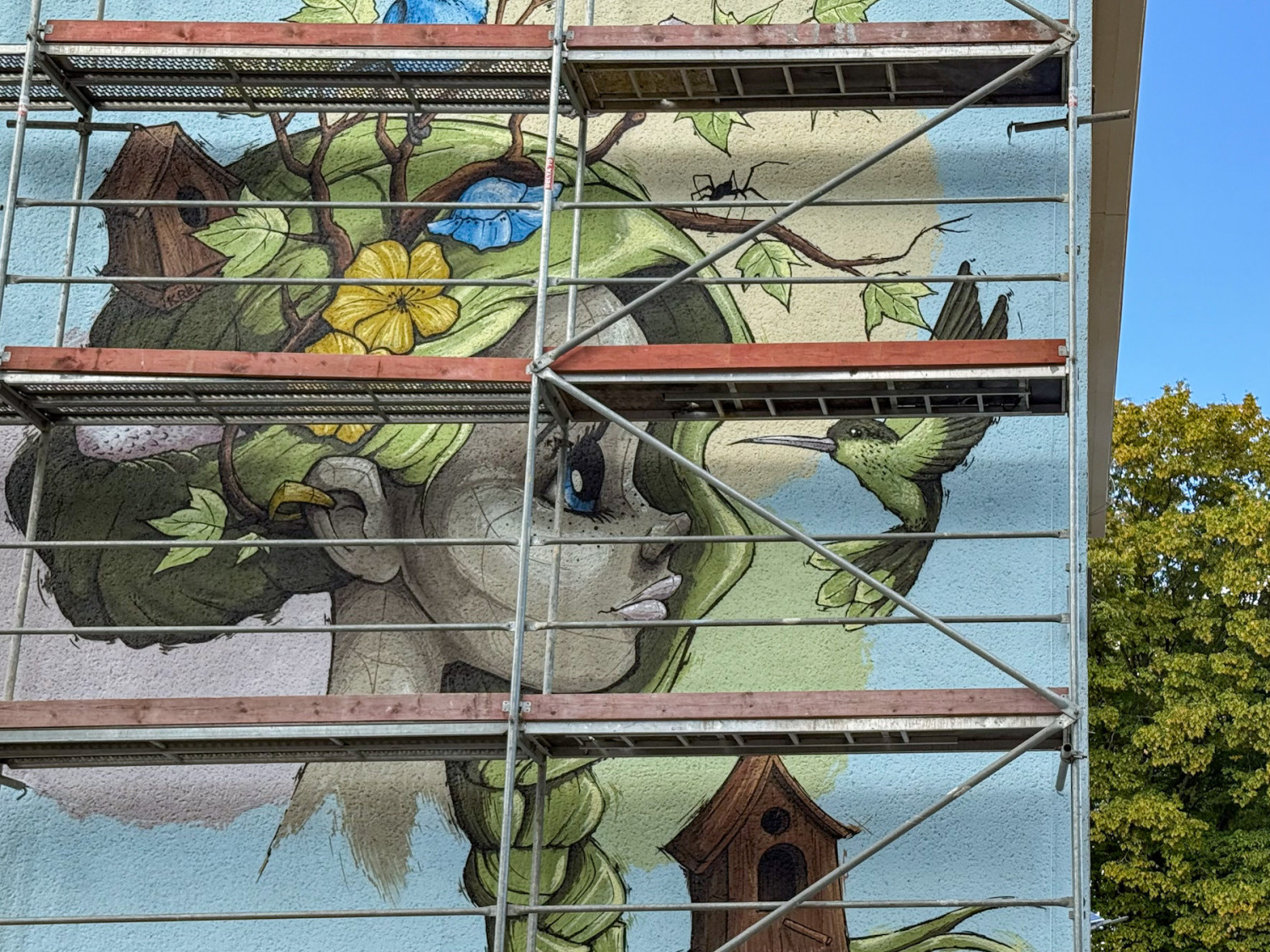 Śródmieście z nowymi muralami. Inspiracją były słynne platany i rzeka Odra [foto]