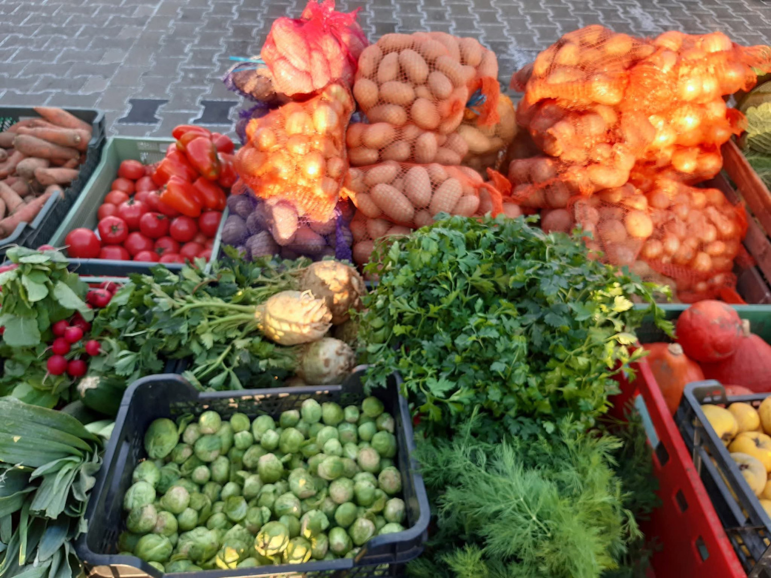 Tutaj wielu wystawców może pochwalić się całkowicie ekologiczną uprawą. Przed nami Sobotni Bazarek na Bronowickiej