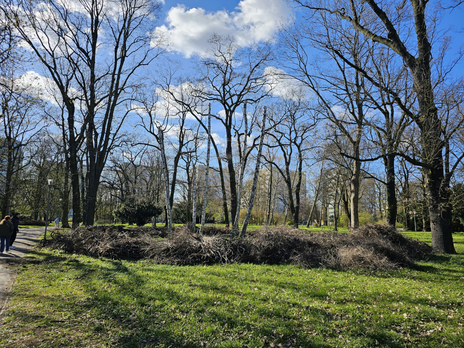 Krok do odnowienia parku Żeromskiego. Specjaliści przygotują koncepcję jego zagospodarowania
