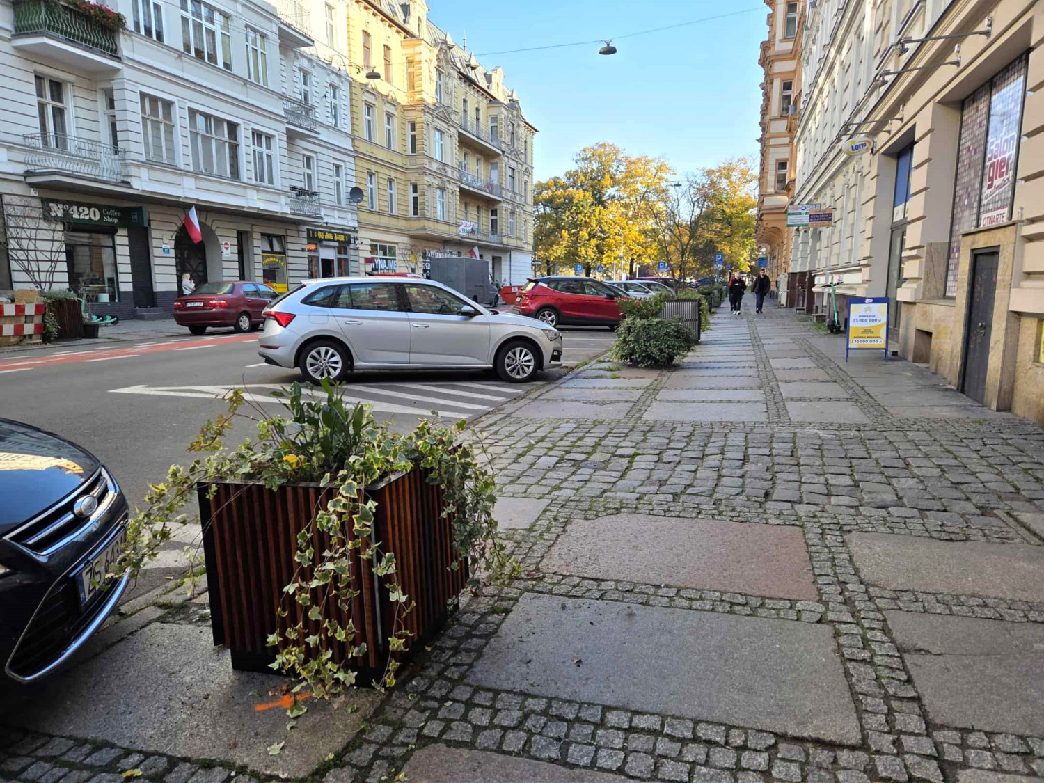 Donice z efektownymi roślinami stanęły na śródmiejskich ulicach. „Niestety, nie wszyscy potrafią je docenić”
