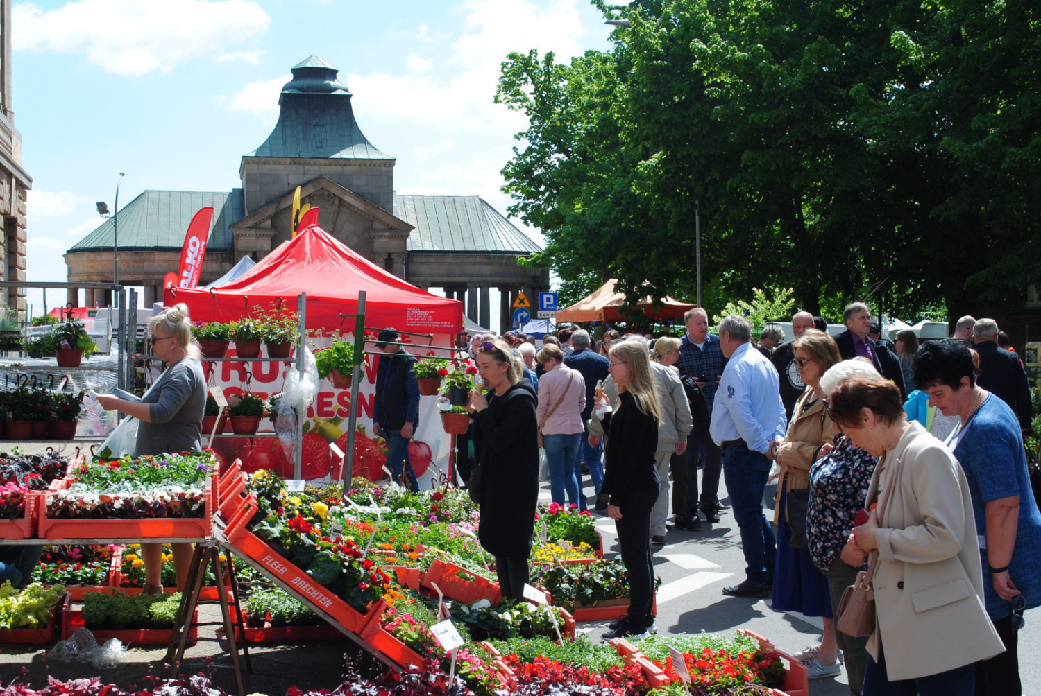 To już 50. edycja! Przed nami Kiermasz Ogrodniczy „Pamiętajcie o ogrodach” na Wałach Chrobrego