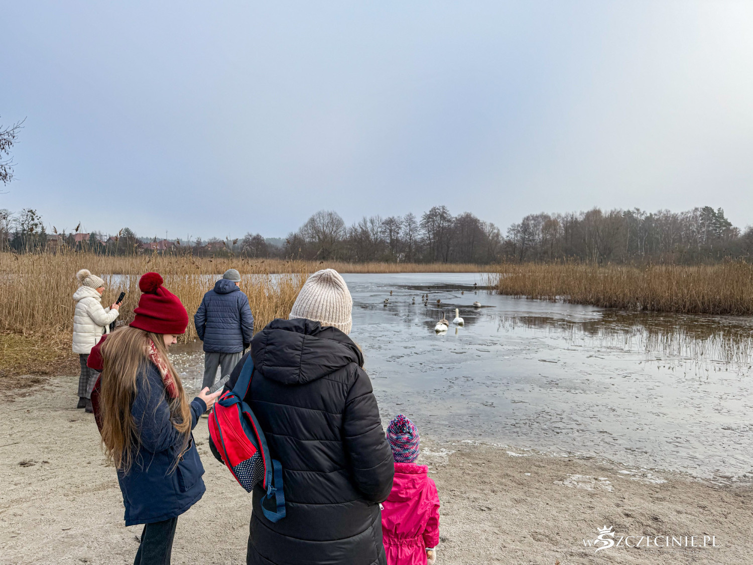 „To będzie najnowocześniejszy obiekt w Polsce”. W Szczecinie może powstać centrum sportów jeździeckich