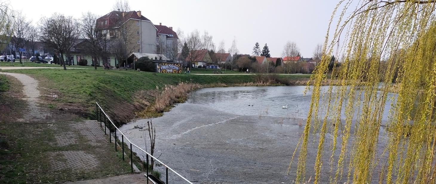 Wody Polskie organizują konsultacje w sprawie Bukowej. „Te prace mają doprowadzić do ograniczenia lokalnych podtopień”