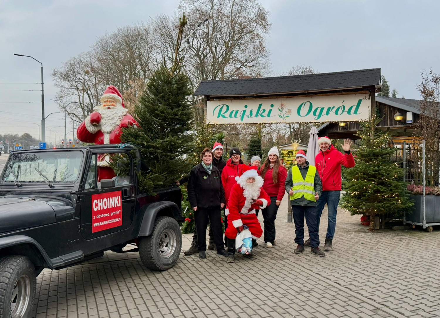 „Klienci mówią, iż tak piękniej choinki nie mieli”. Znajdziemy tu świąteczne drzewka do każdego wnętrza