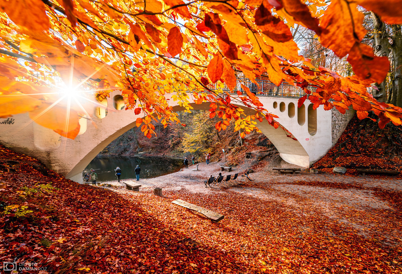 Gdzie na Halloween? Weekend w Szczecinie. Dzieje się 31 PAŹDZIERNIKA – 2 LISTOPADA 2025